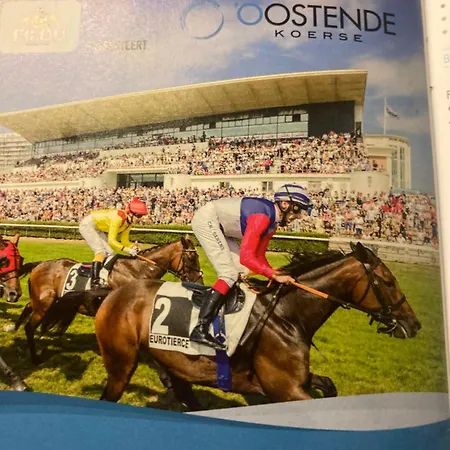 Apartament Micheline's Plekje *