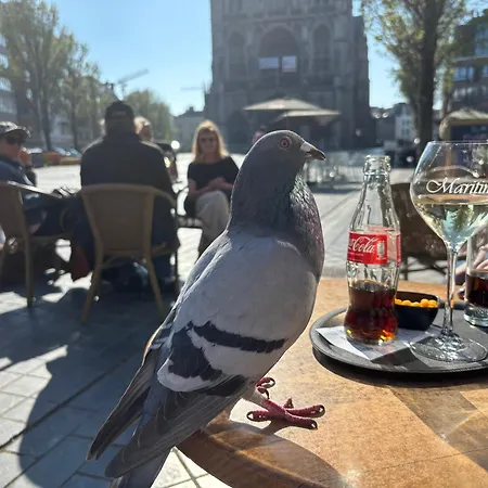 Micheline's Plekje Apartament *